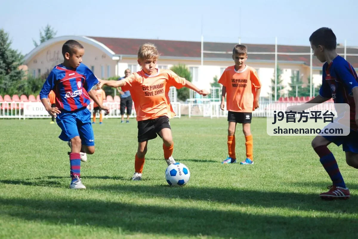 j9官方平台搜索功能使用方法